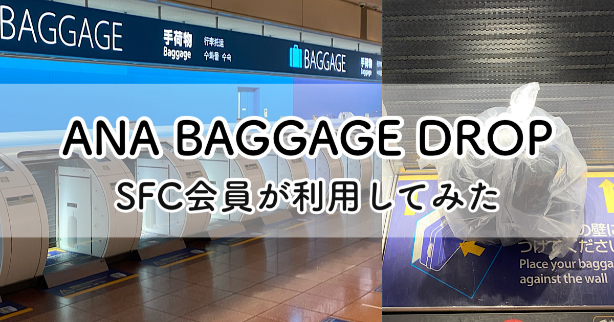 ANA BAGGAGE DROP_top